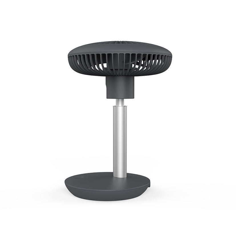 Table fan