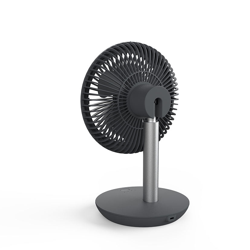 Table fan