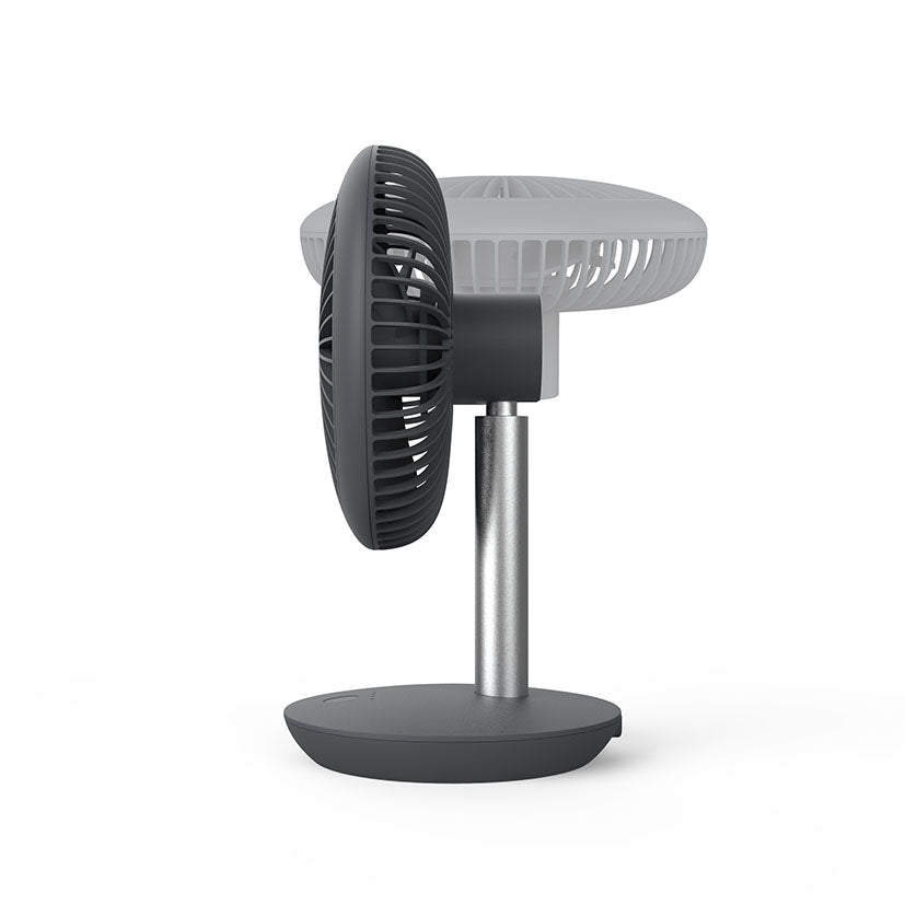 Table fan