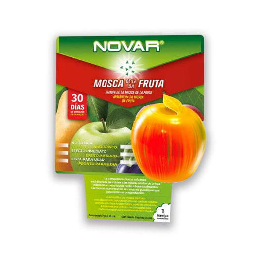 Mosca de
