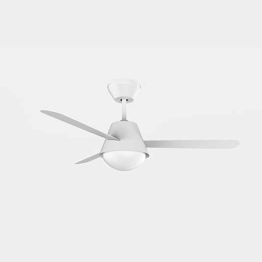 Ceiling fan