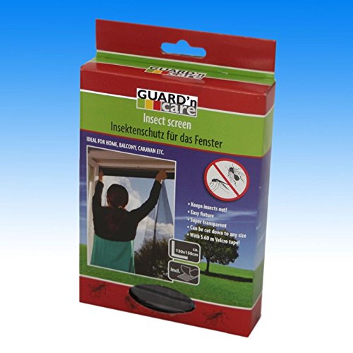 Window Screen