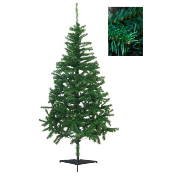 Fir tree