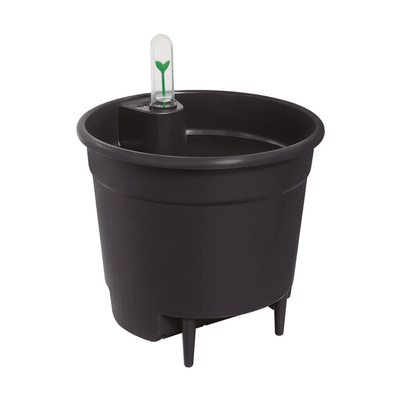Self-watering insert
