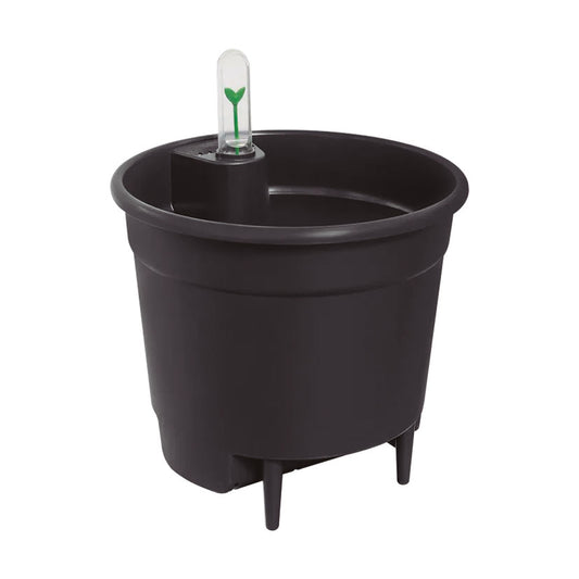 Self-watering insert