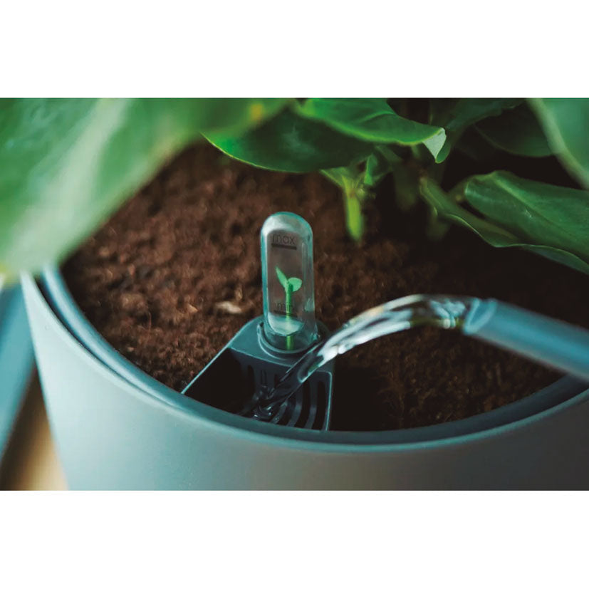 Self-watering insert