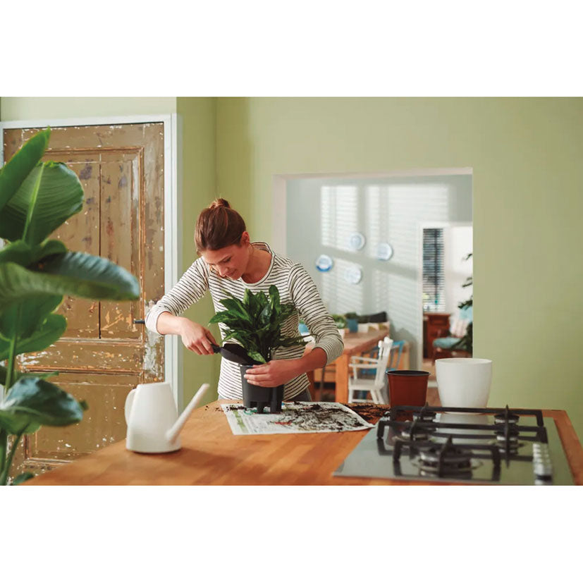 Self-watering insert
