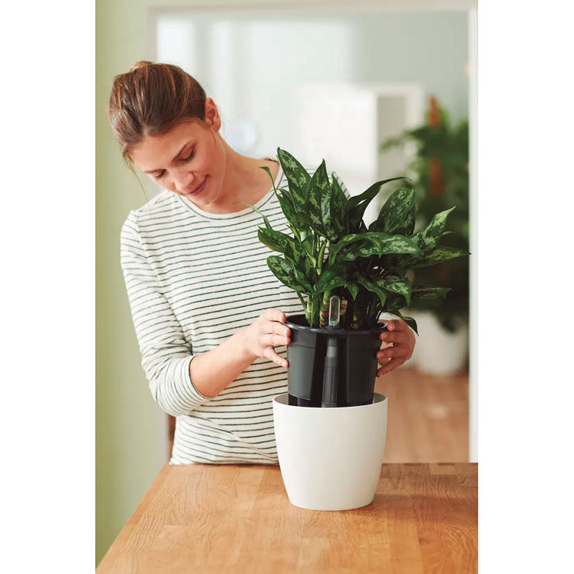 Self-watering insert