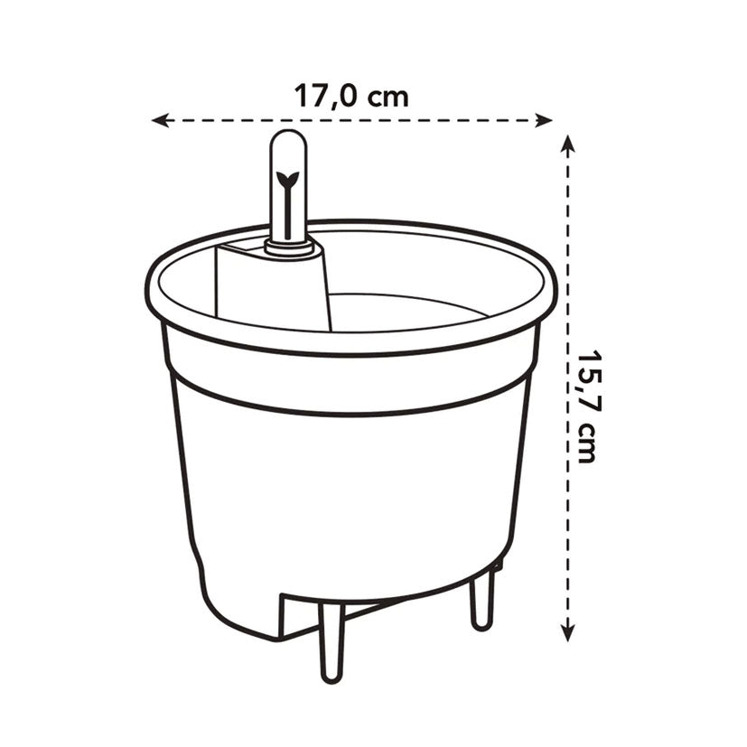 Self-watering insert