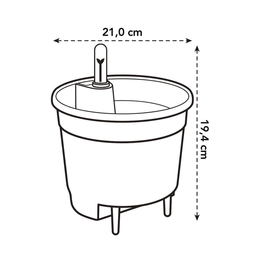 Self-watering insert