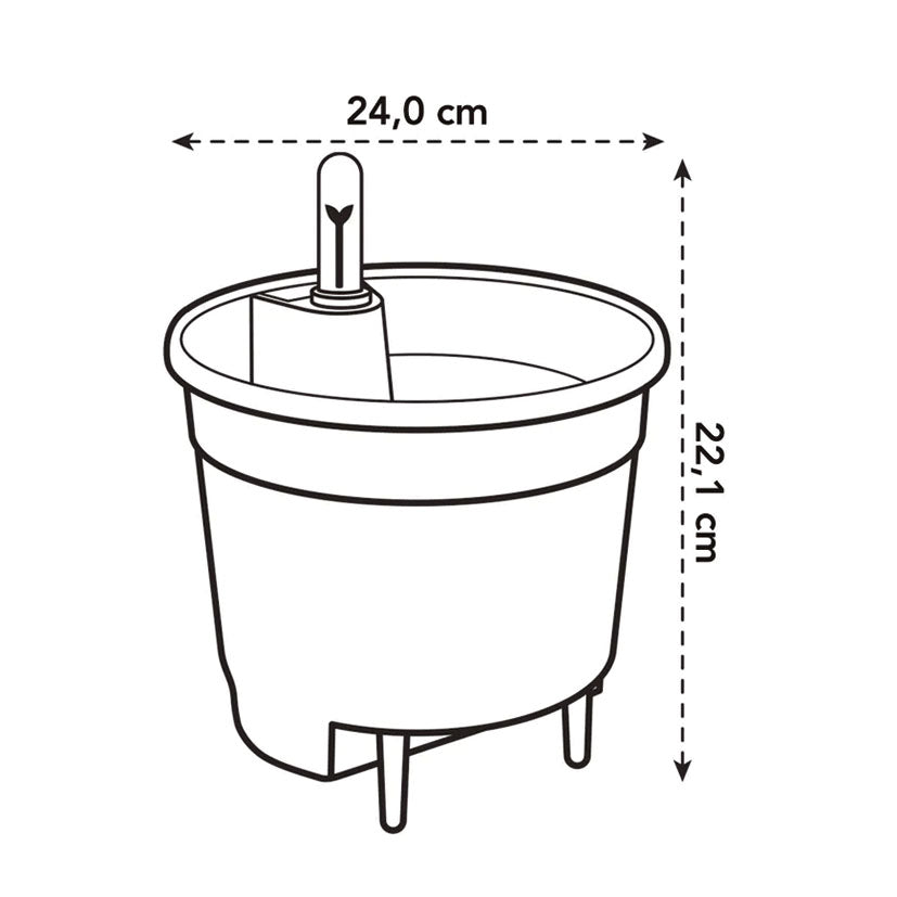 Self-watering insert