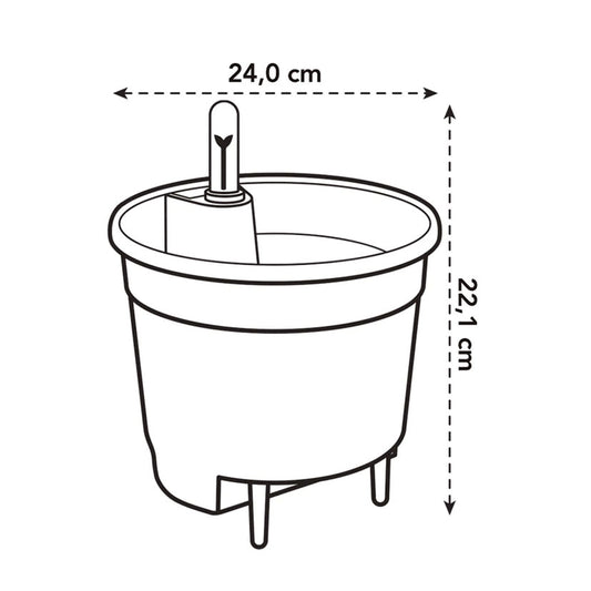 Self-watering insert