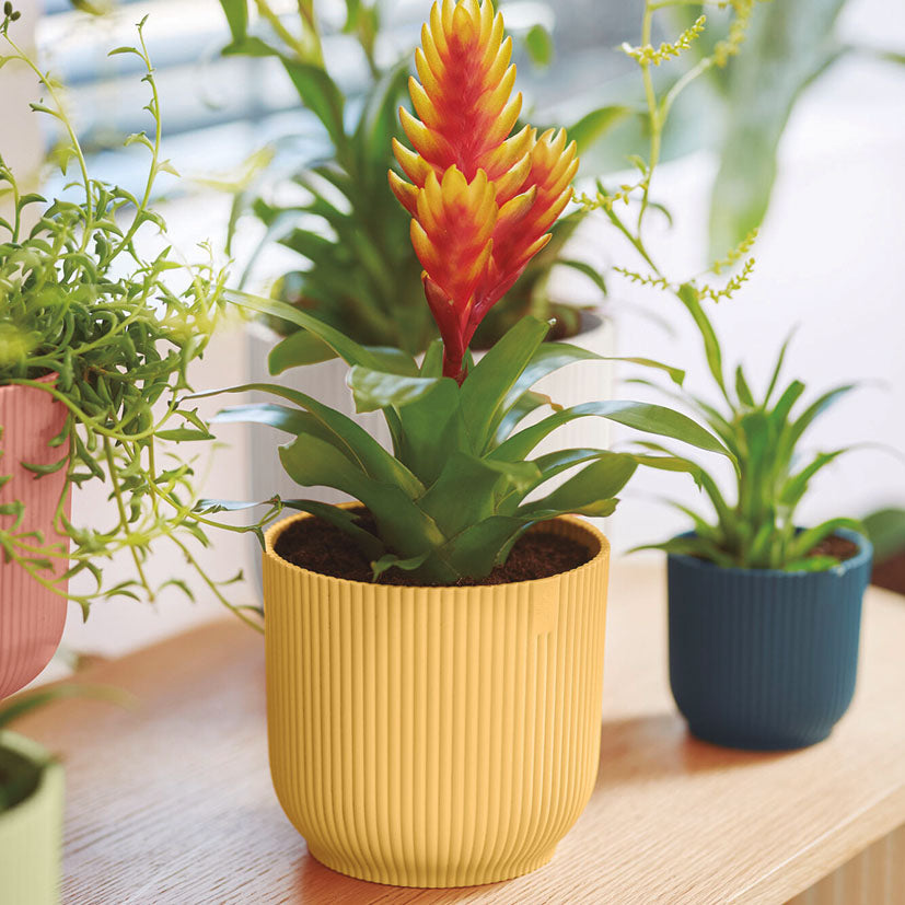 Plant pot covers