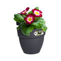 Hanging planter