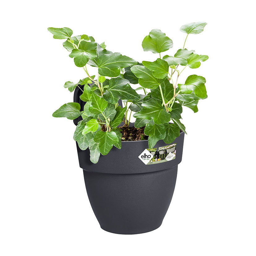 Hanging planter