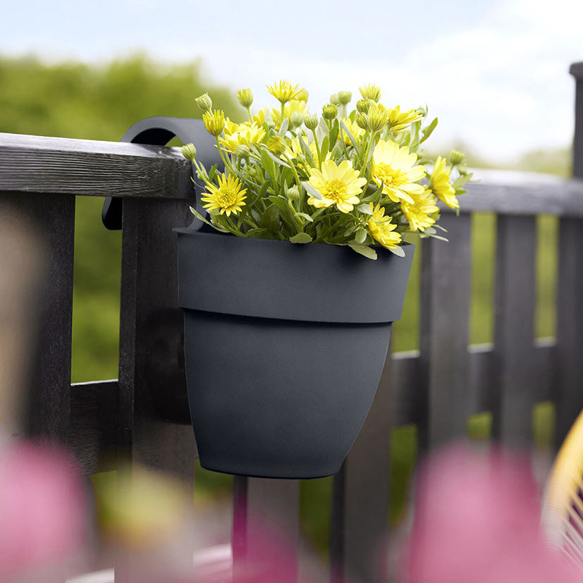 Hanging planter