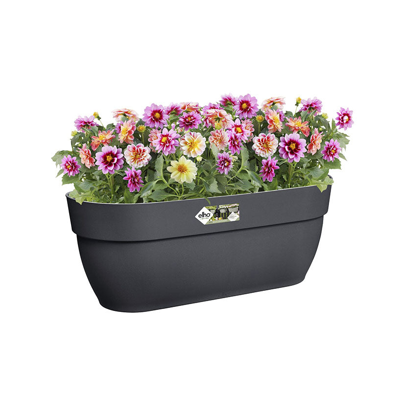 Hanging pot