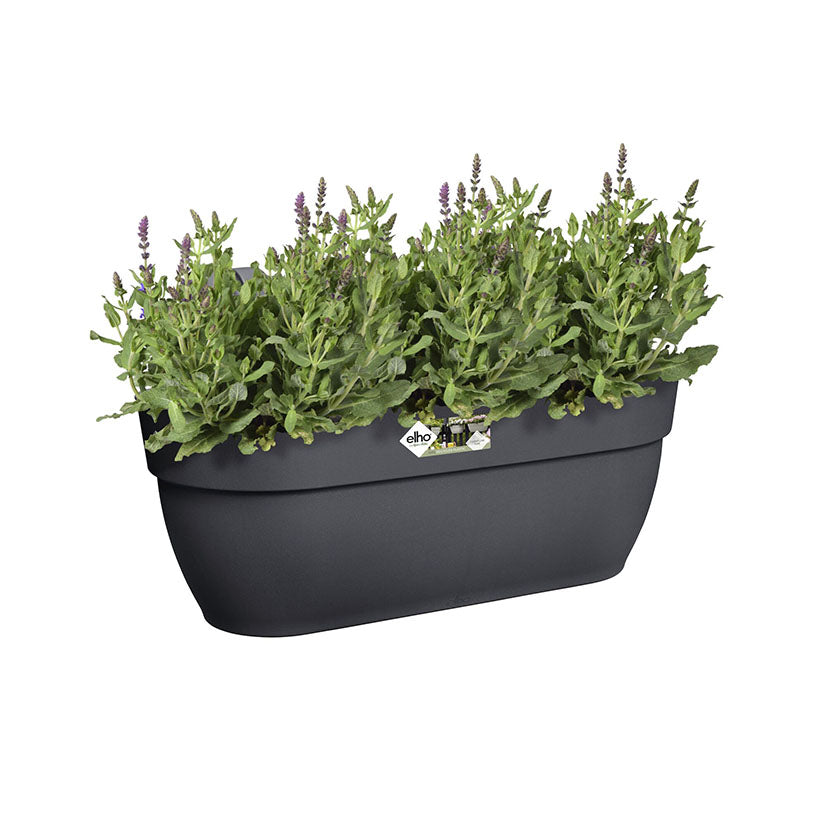 Hanging pot