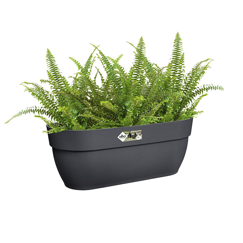 Hanging pot
