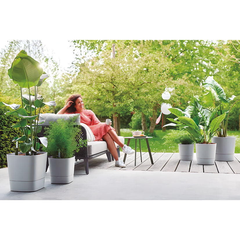 Self-watering pot
