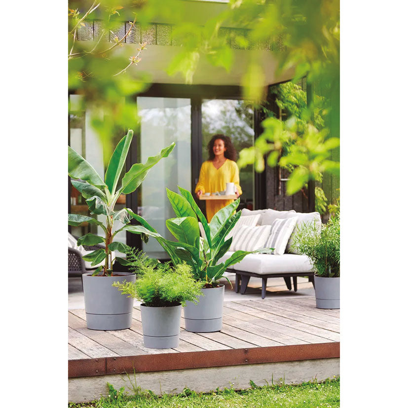 Self-watering pot