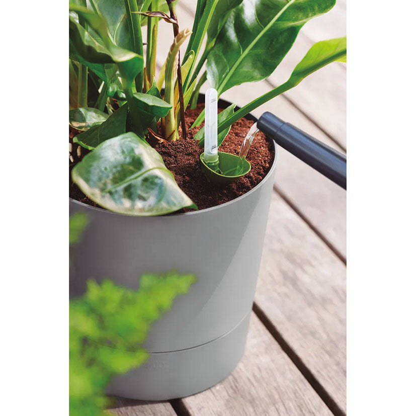 Self-watering pot