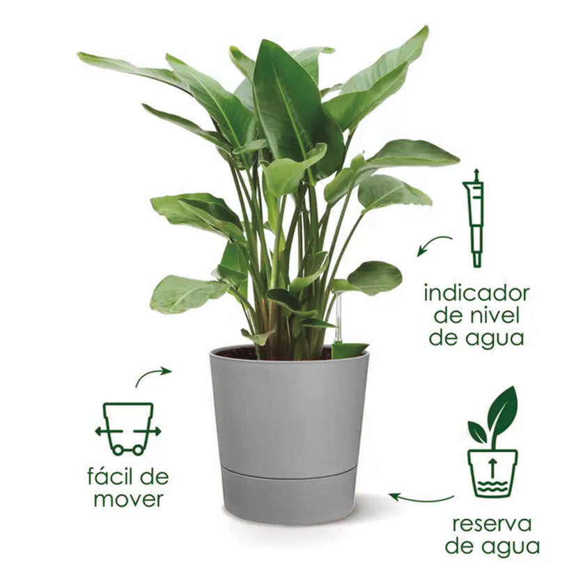 Self-watering pot