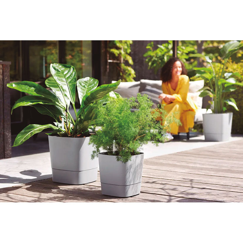 Self-watering planter