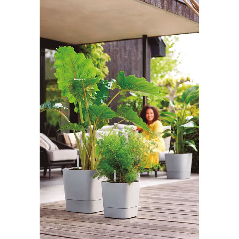 Self-watering planter