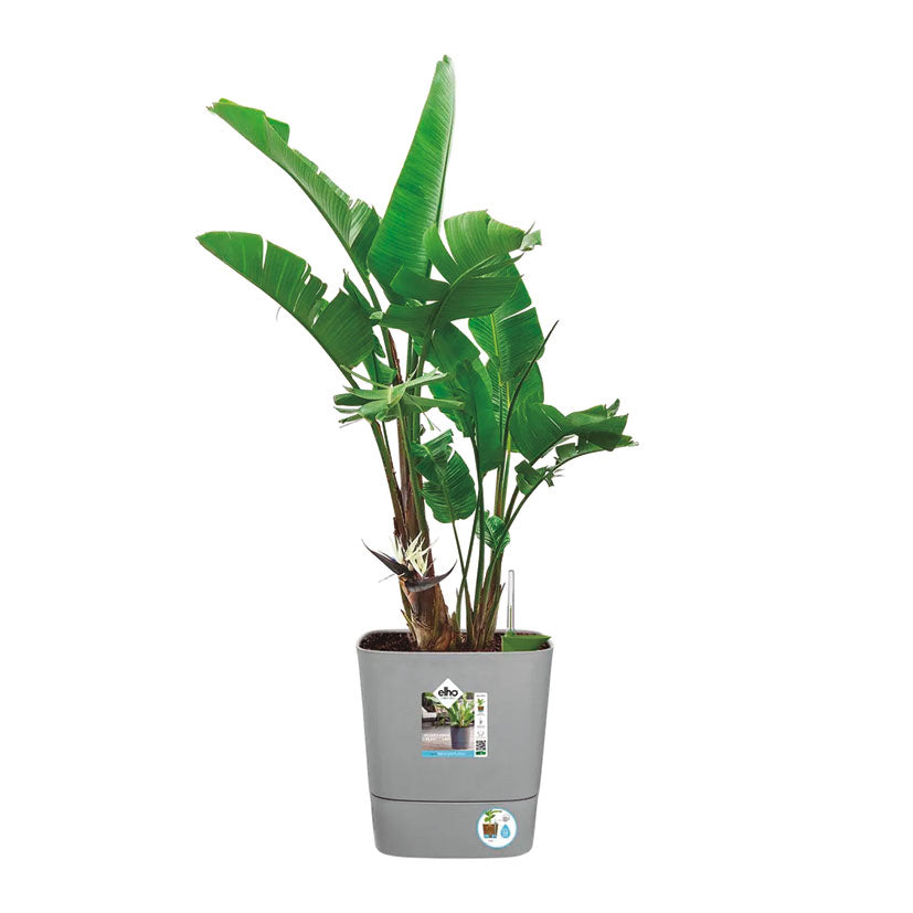 Self-watering planter