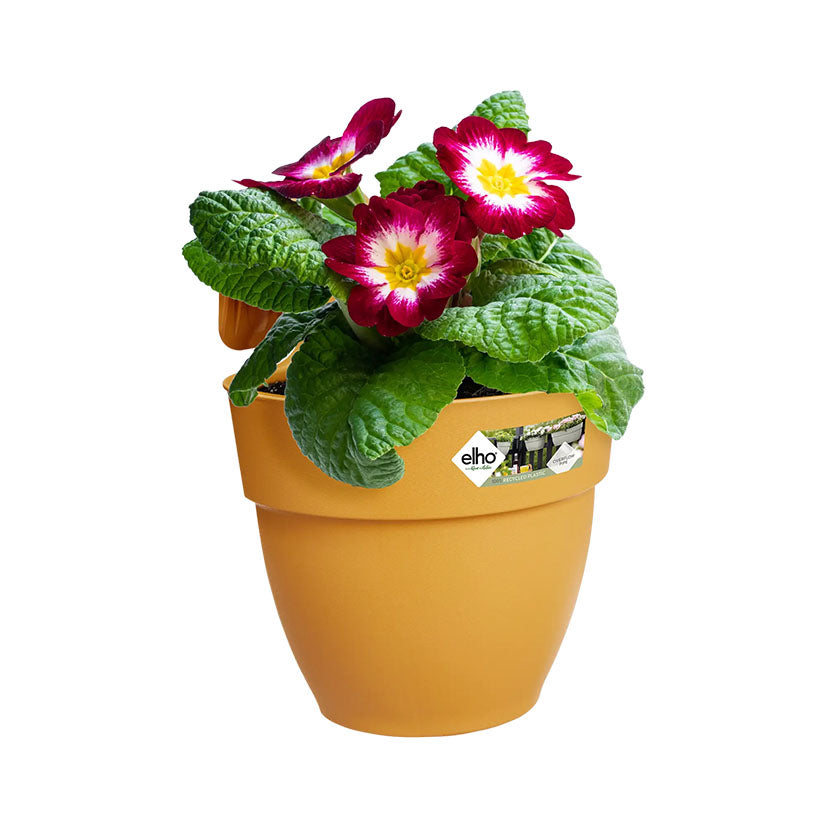 Hanging planter