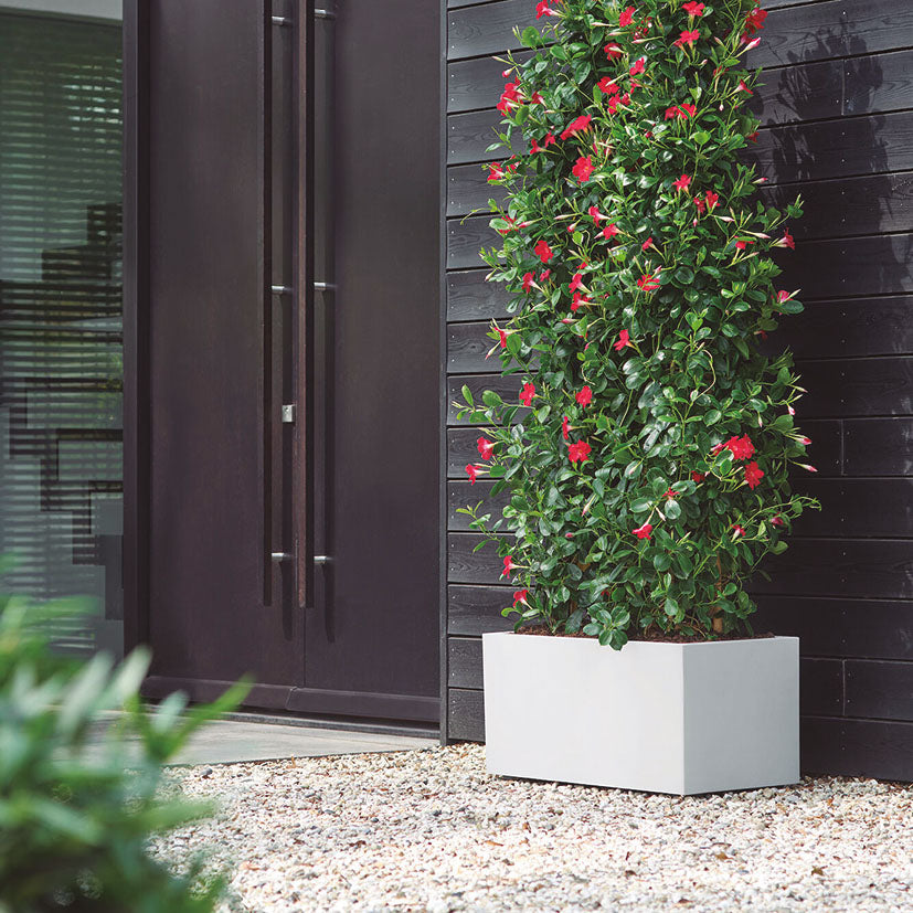 Rectangular planter box