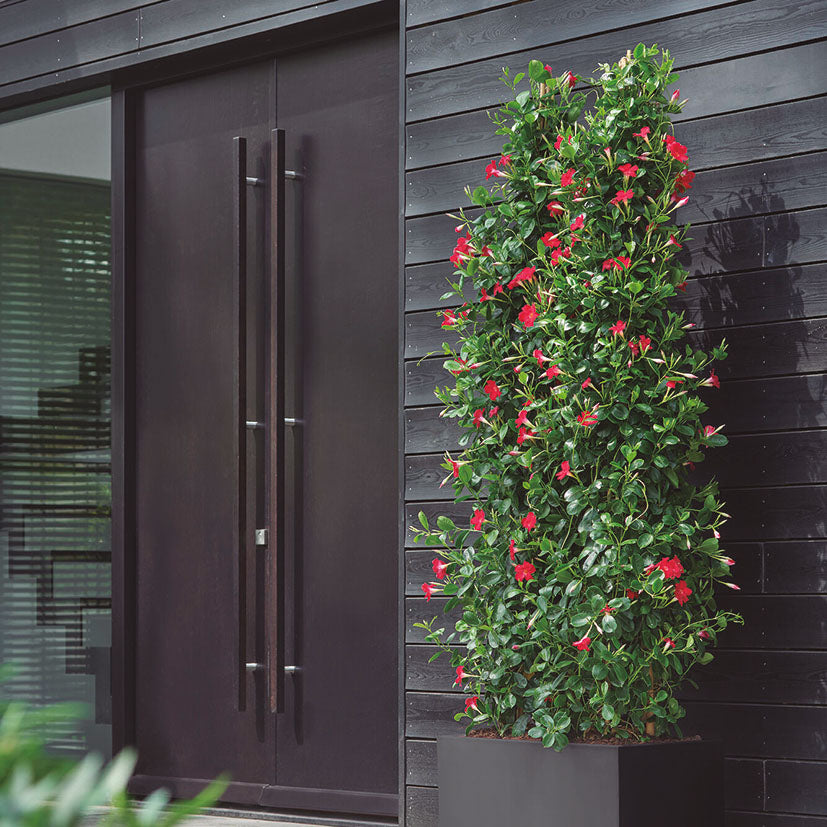 Rectangular planter