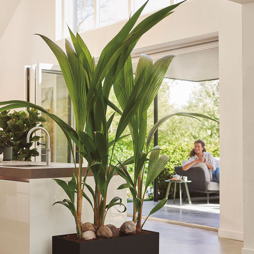 Rectangular planter