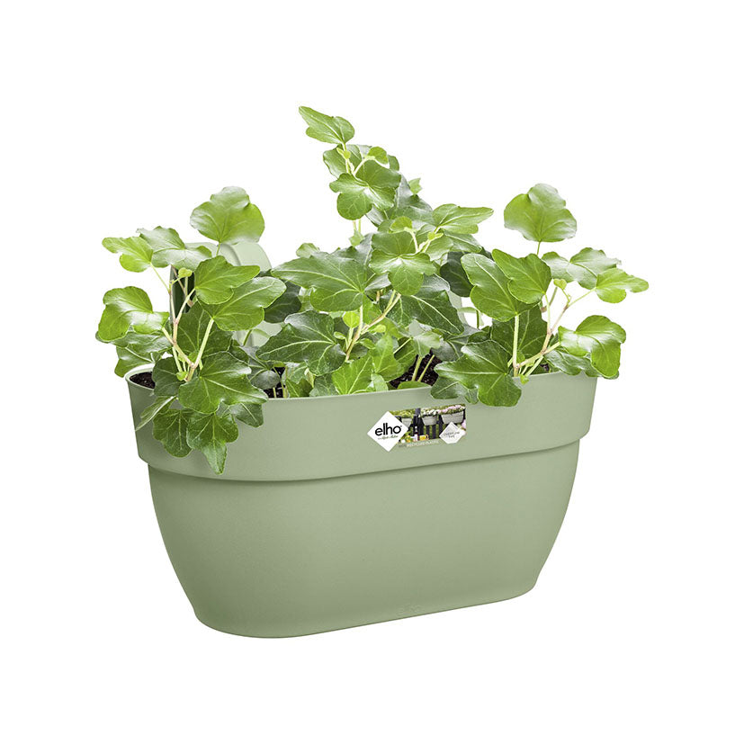 Hanging pot