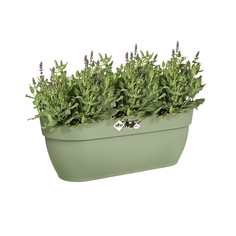 Hanging pot