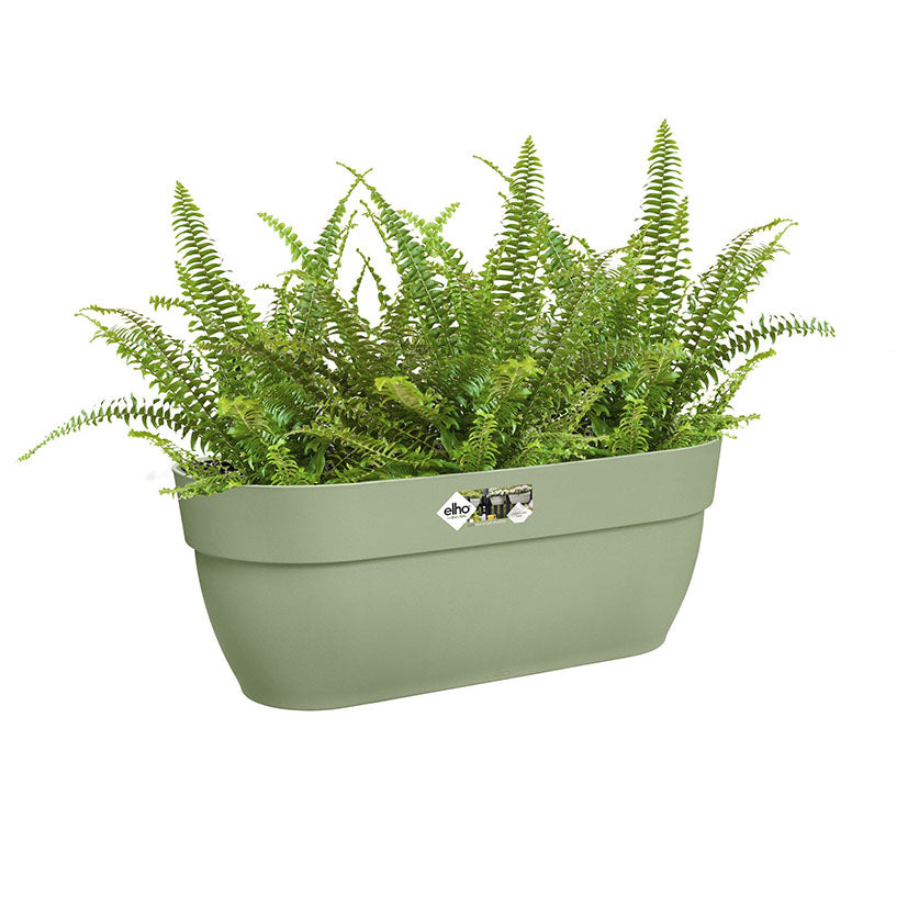 Hanging pot