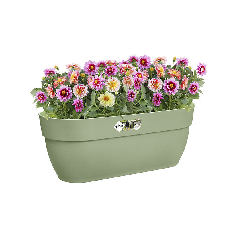 Hanging pot