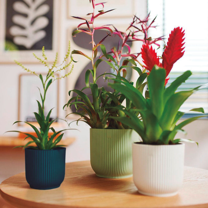 Pot covers