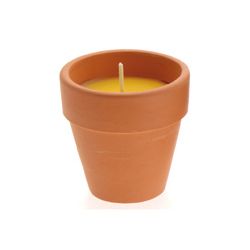 Candle pot