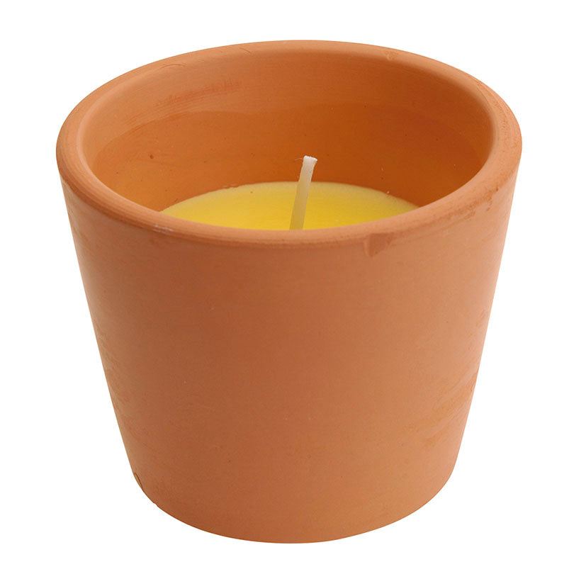 Terracotta pot