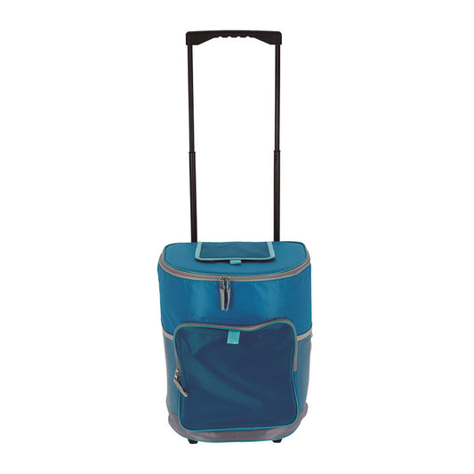 Flexible cooler